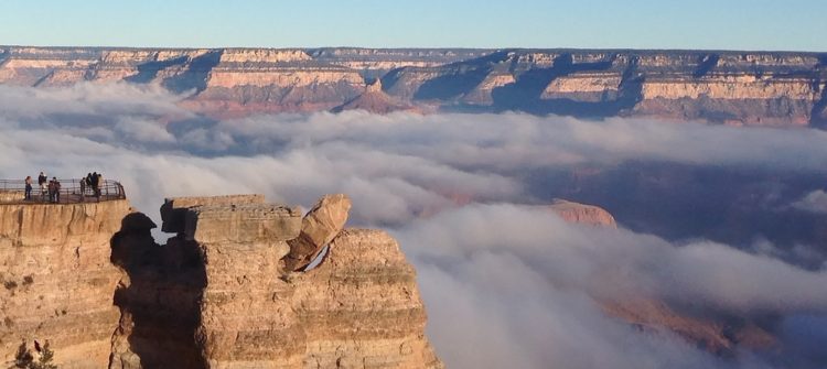 The Ultimate Grand Canyon Road Trip Guide - Canyon Tours